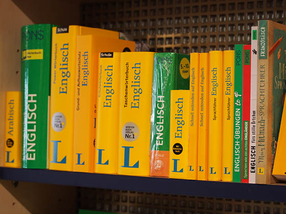 Buch Plus Holzgerlingen Wörterbücher 560