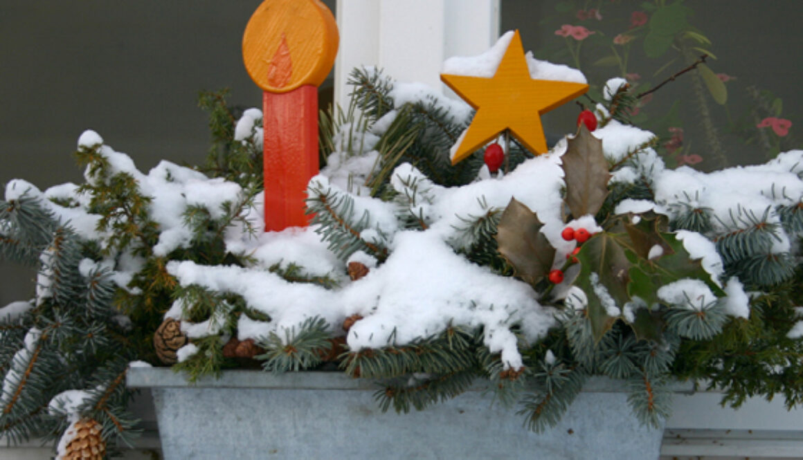 Buch Plus Holzgerlingen Weihnachten 2023 560 01 560 X 420 01 Buch Plus Holzgerlingen Weihnachten 2023 560 01 560 X 420 01